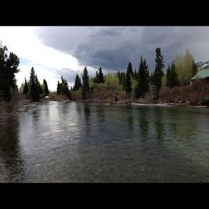 Meet your Posher, Lidia